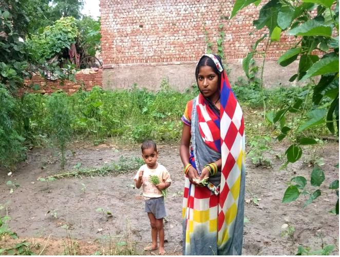 Story on Nutrition Garden