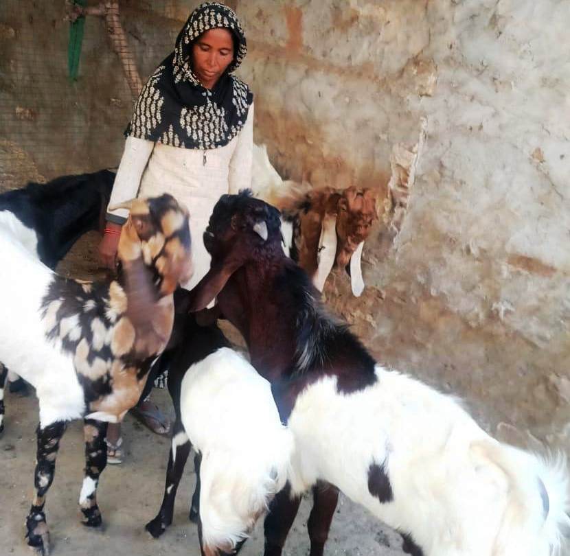 Case Study - Sariphan