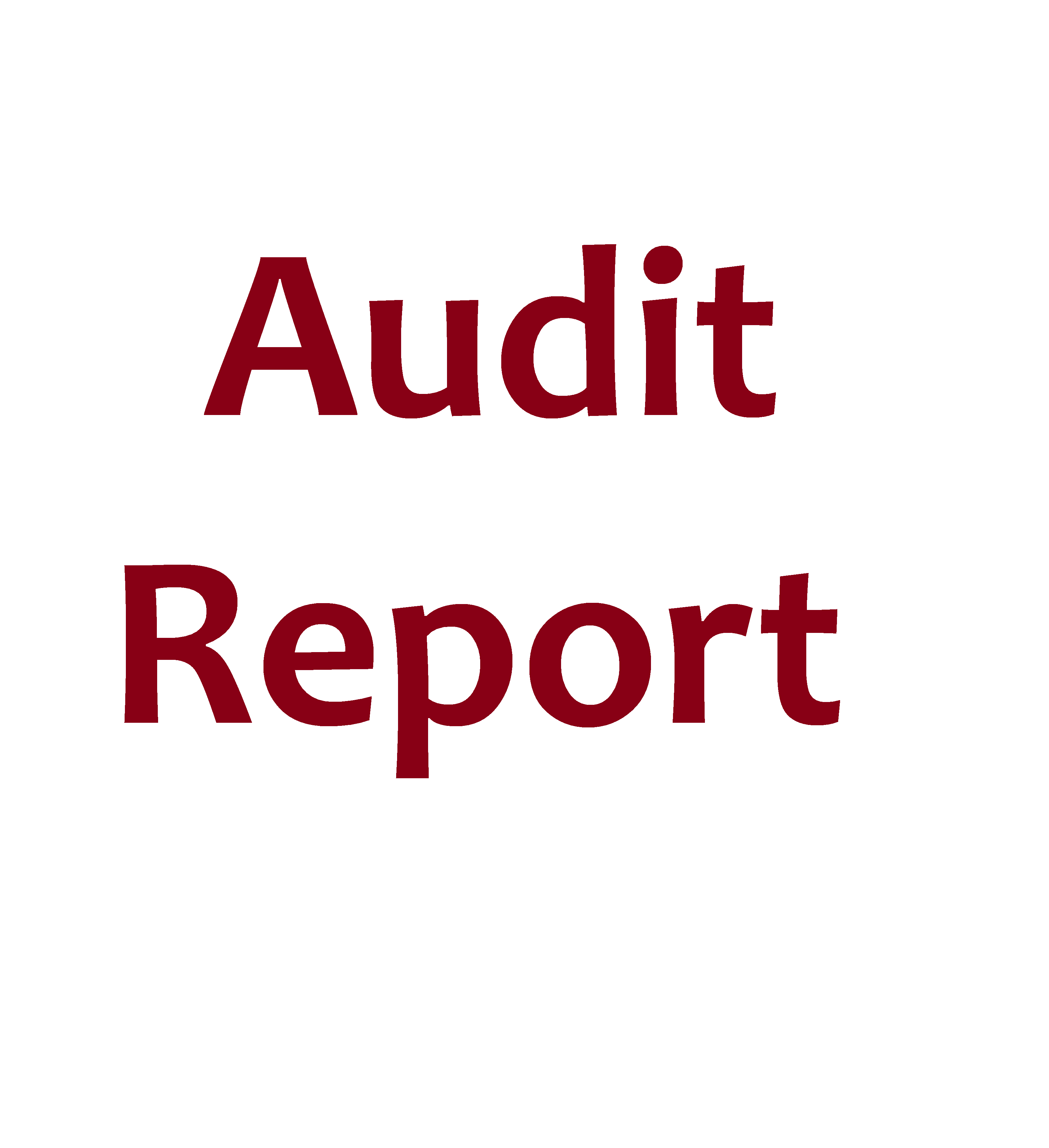 Audit Report- 2023-24